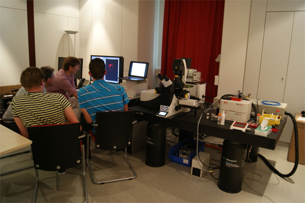 Demonstration of the confocal microscope Leica TCS SP8 1