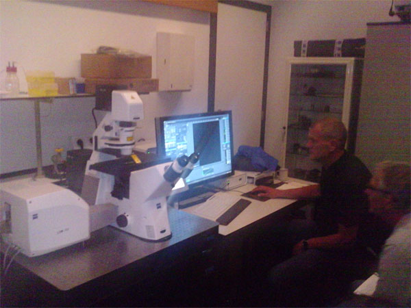 Official training session for the confocal microscope Zeiss LSM700