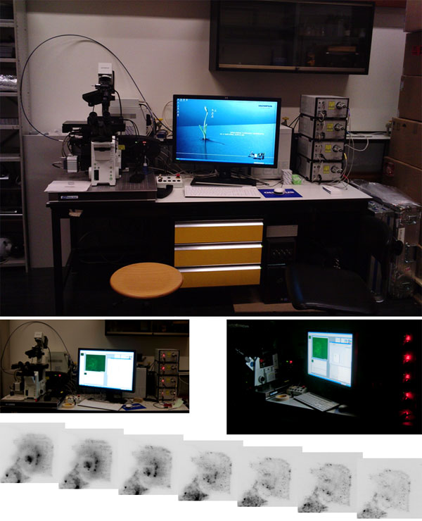 Testing of the TIRF microscope Olympus IX81