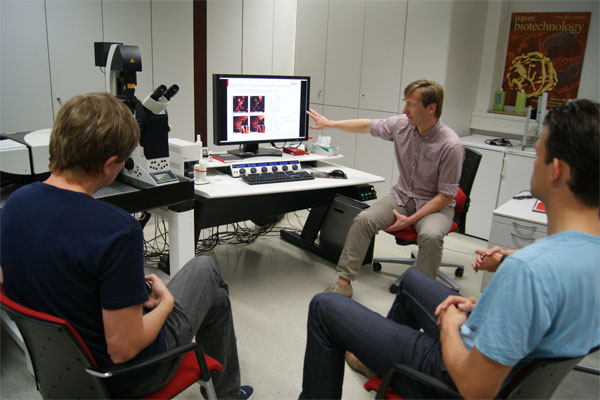 Testing of the super-resolution microscope Leica TCS SP8 STED 1