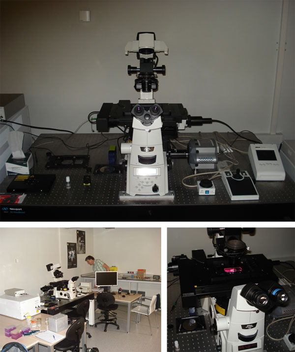 Testing of the super-resolution microscope Nikon N-STORM