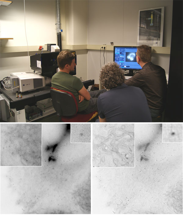 Testing of the super-resolution microscope Zeiss Elyra PS1