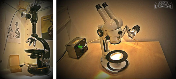 Utrecht Museum of Microscopy - page 8 image 5
