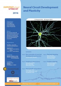 summerschool_2016_neural_circuit_development