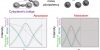 Aurora B controls microtubule stability to regulate abscission dynamics in stem cells