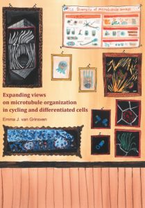 thesis_thumbnail_Emma_Grinsven