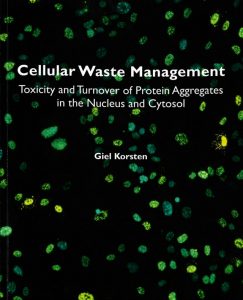 thesis_thumbnail_Giel_Korsten